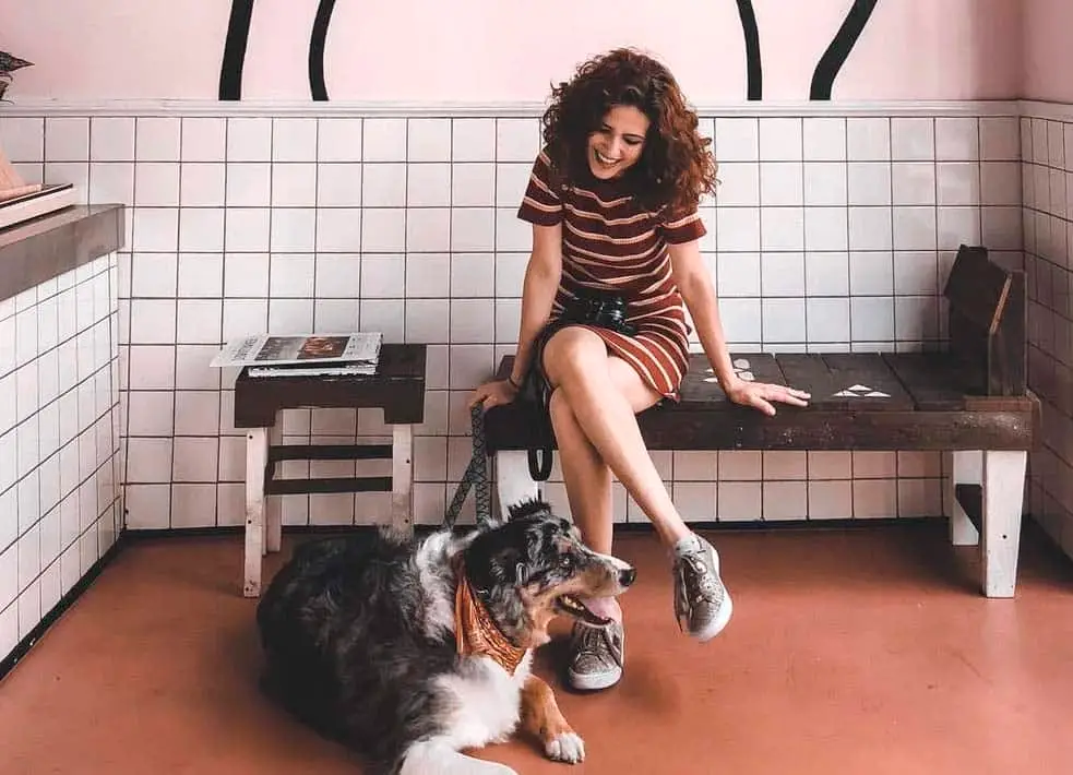Peluquería canina