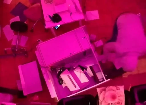 ¿Cómo evitar los robos en tu tienda?